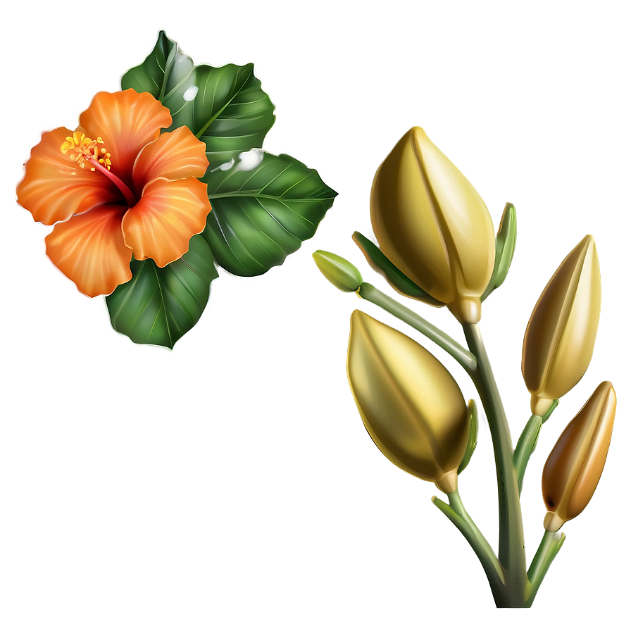 Enchanted Orange Hibiscus Png Epx PNG