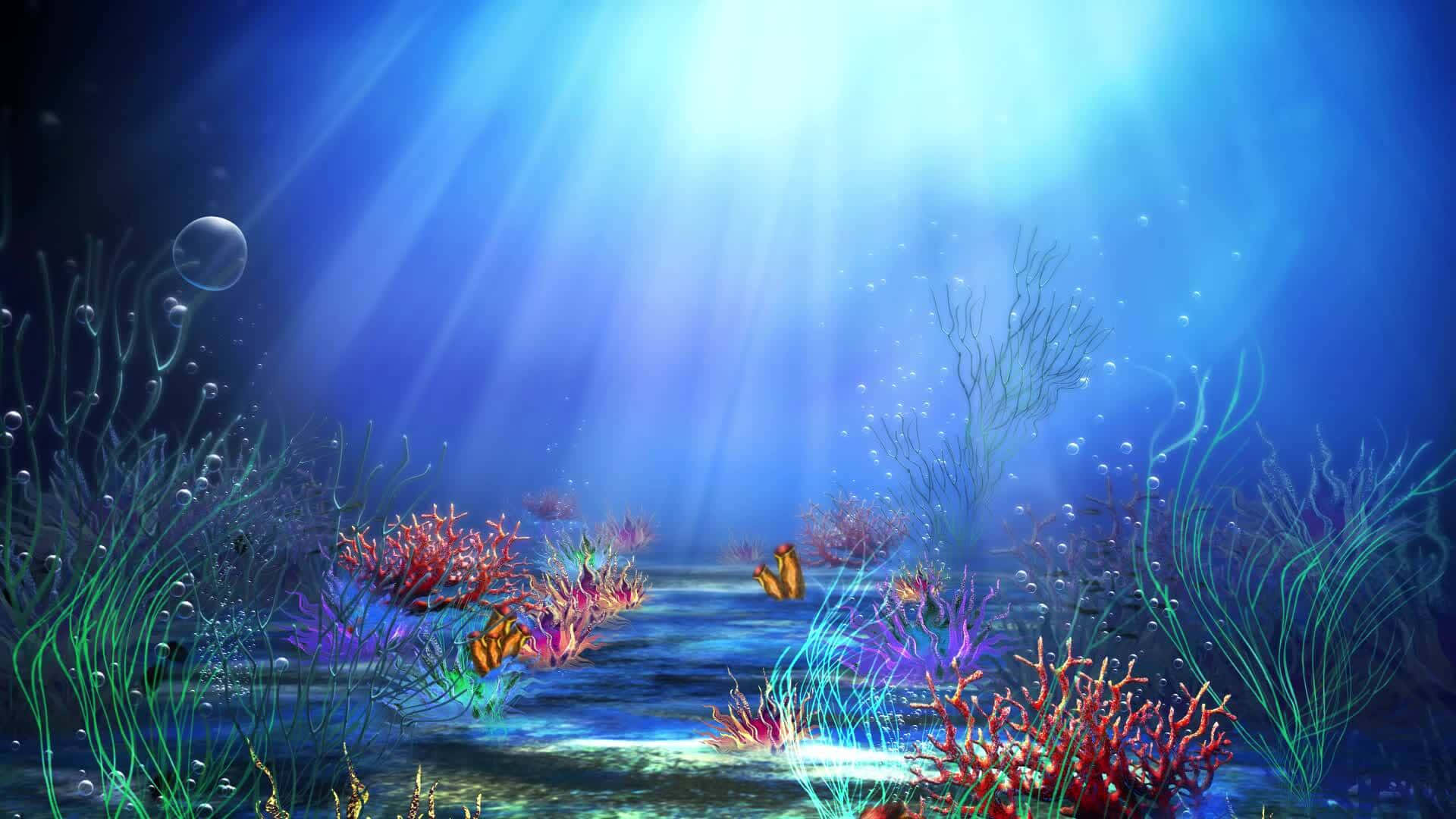 Enchanted Underwater Scene Wallpaper