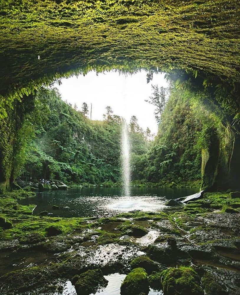 Enchanted_ Waterfall_ Grotto_ Tauranga Wallpaper