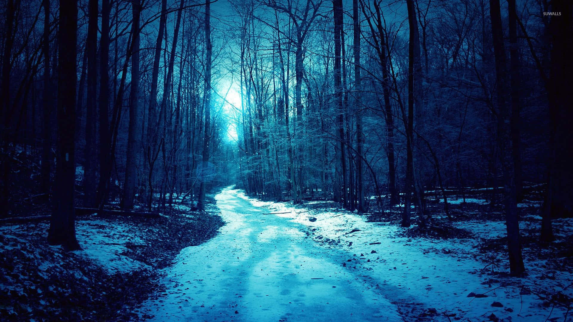Enchanted_ Winter_ Forest_ Path.jpg Wallpaper