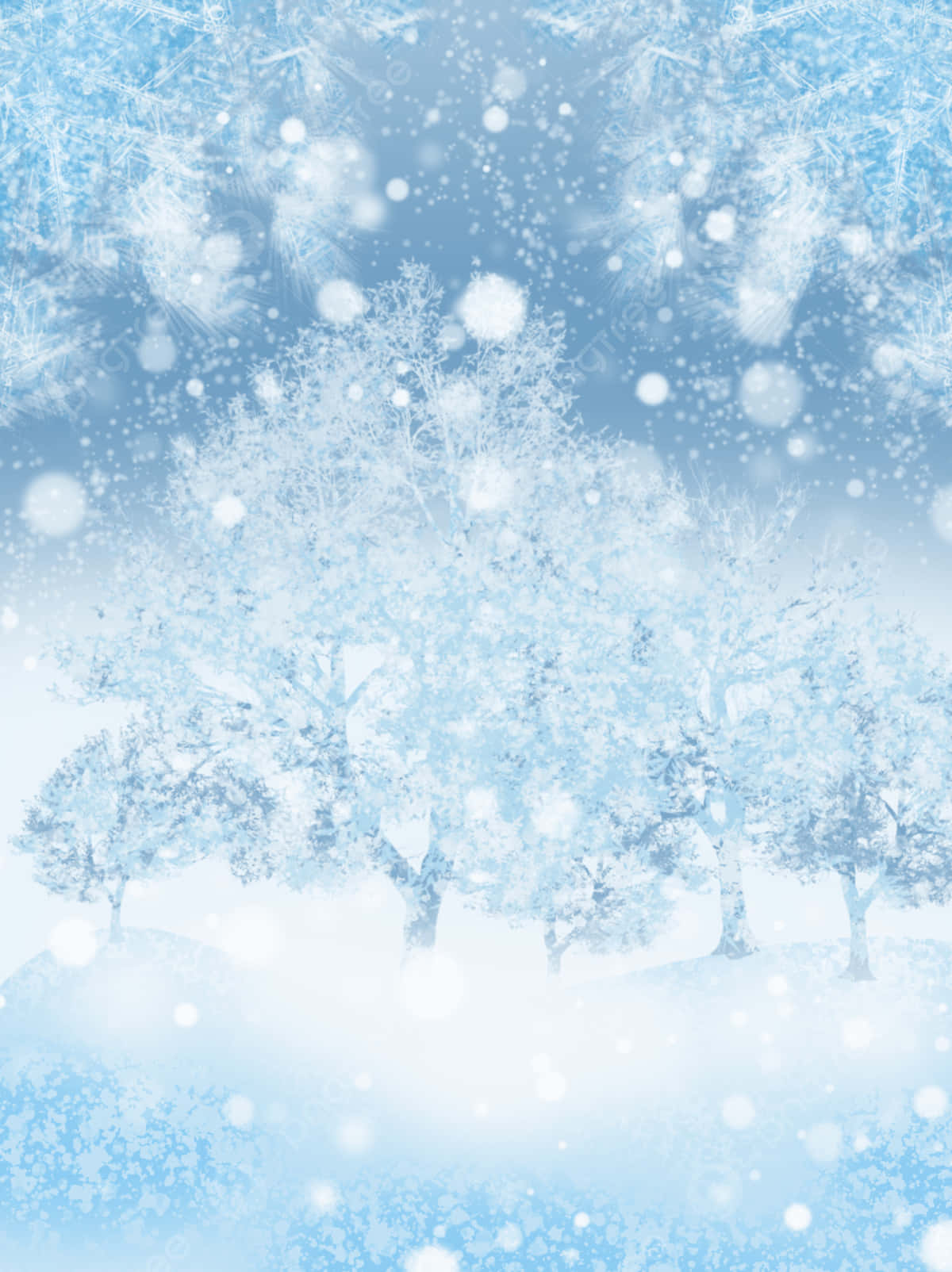 Download Enchanted  Winter  Forest  Scene Wallpaper 