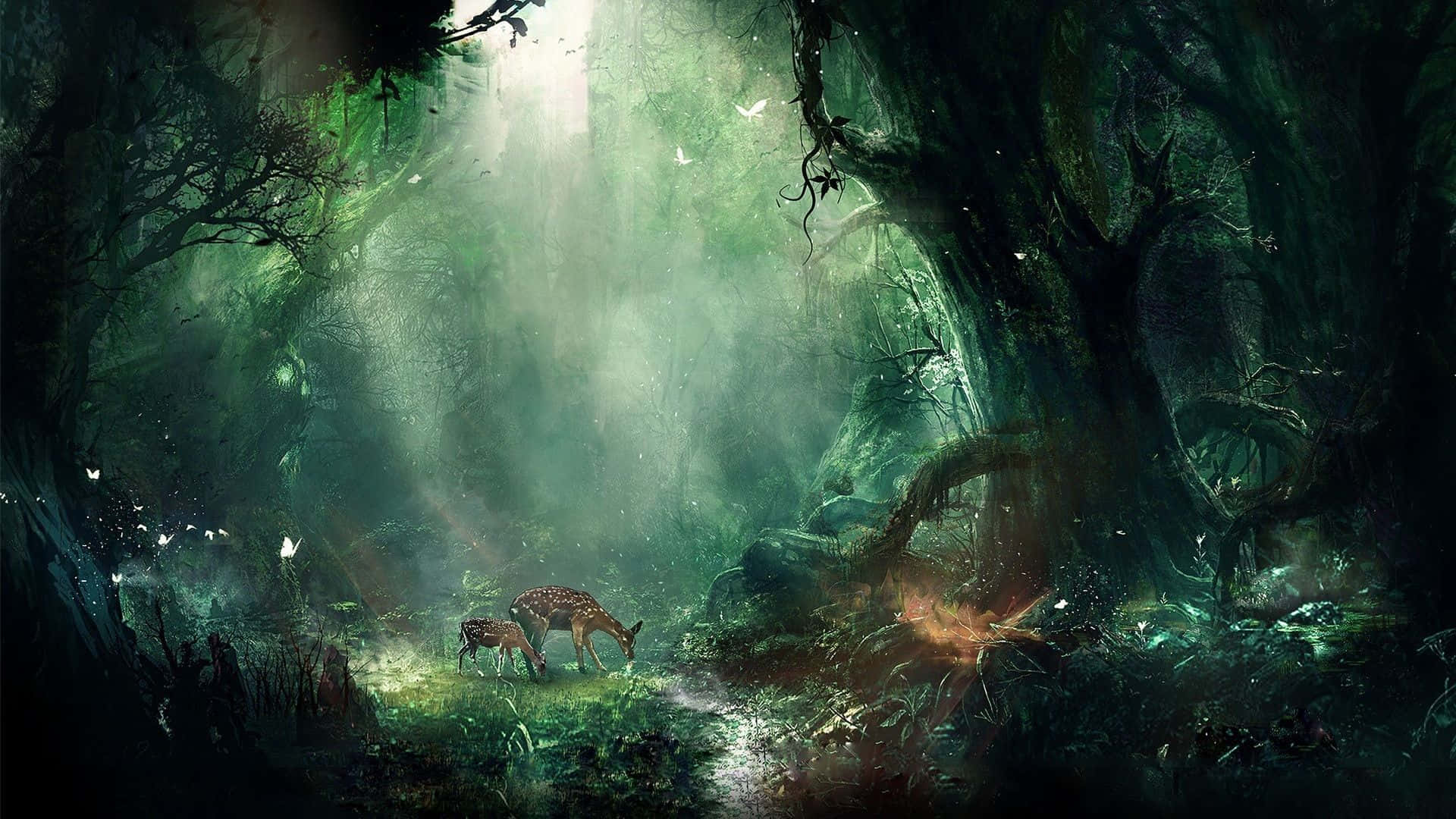 Enchanting Forest Path with Magical Atmosphere Wallpaper