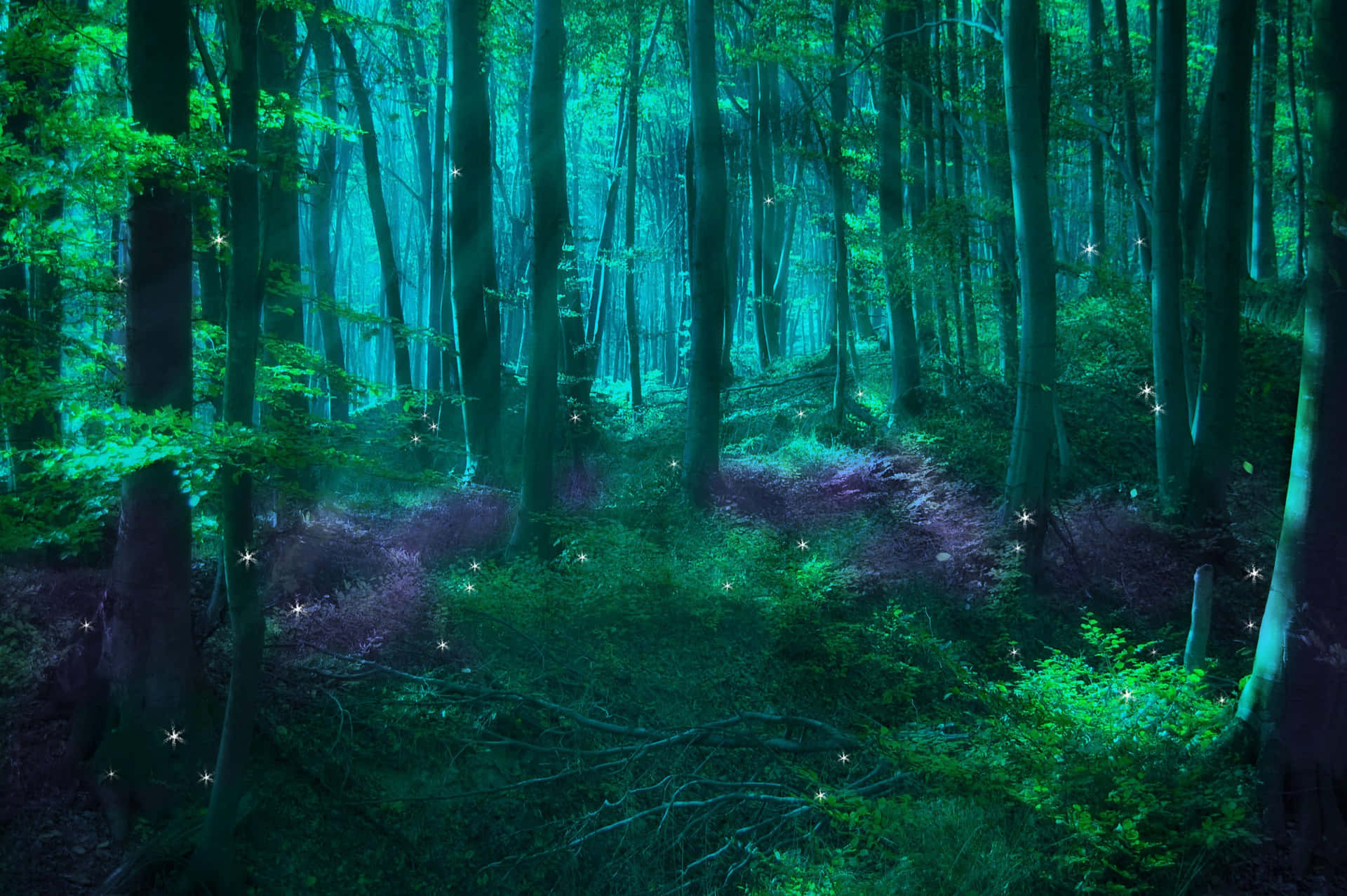 A magical forest landscape with warm sunlight and dreamy nature scenery Wallpaper