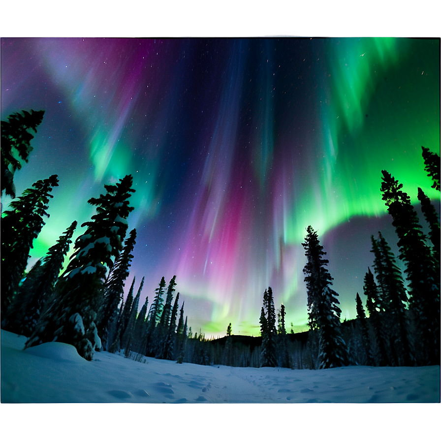 Enchanting Aurora Forest View Png Ftl90 PNG