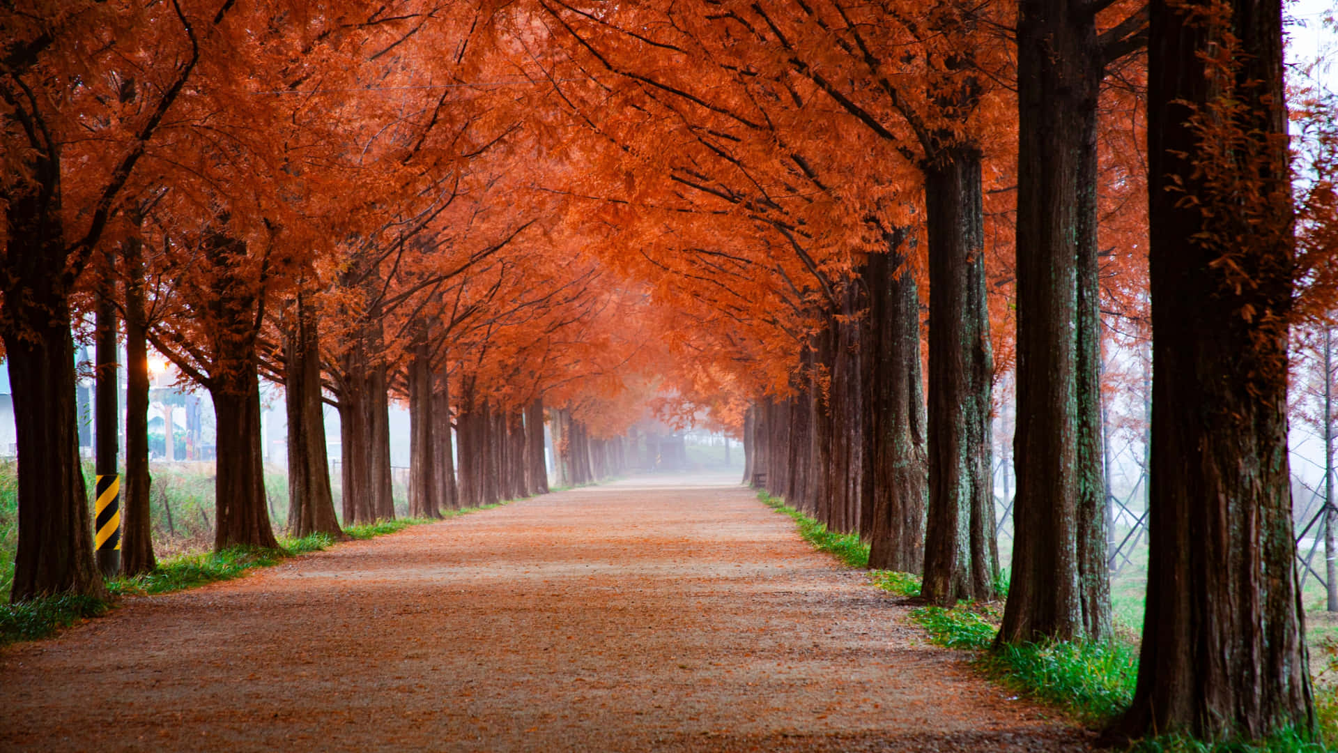 Enchanting Autumn Scenery