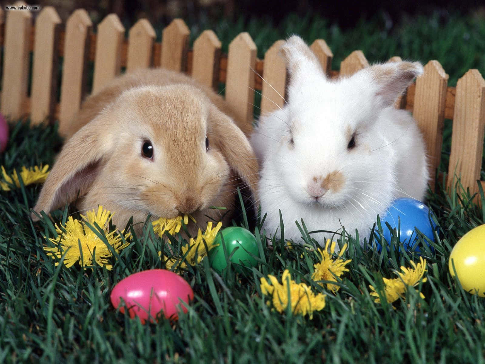 Enchanting Easter Bunny In A Colorful Spring Scene