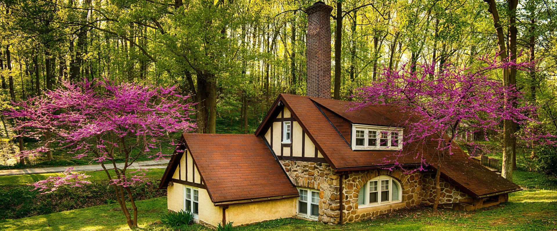 Enchanting Forest Cottage Springtime Wallpaper