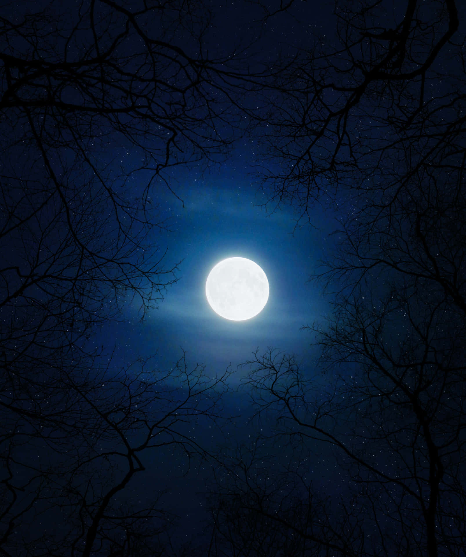 Enchanting Full Moon Night Sky Wallpaper