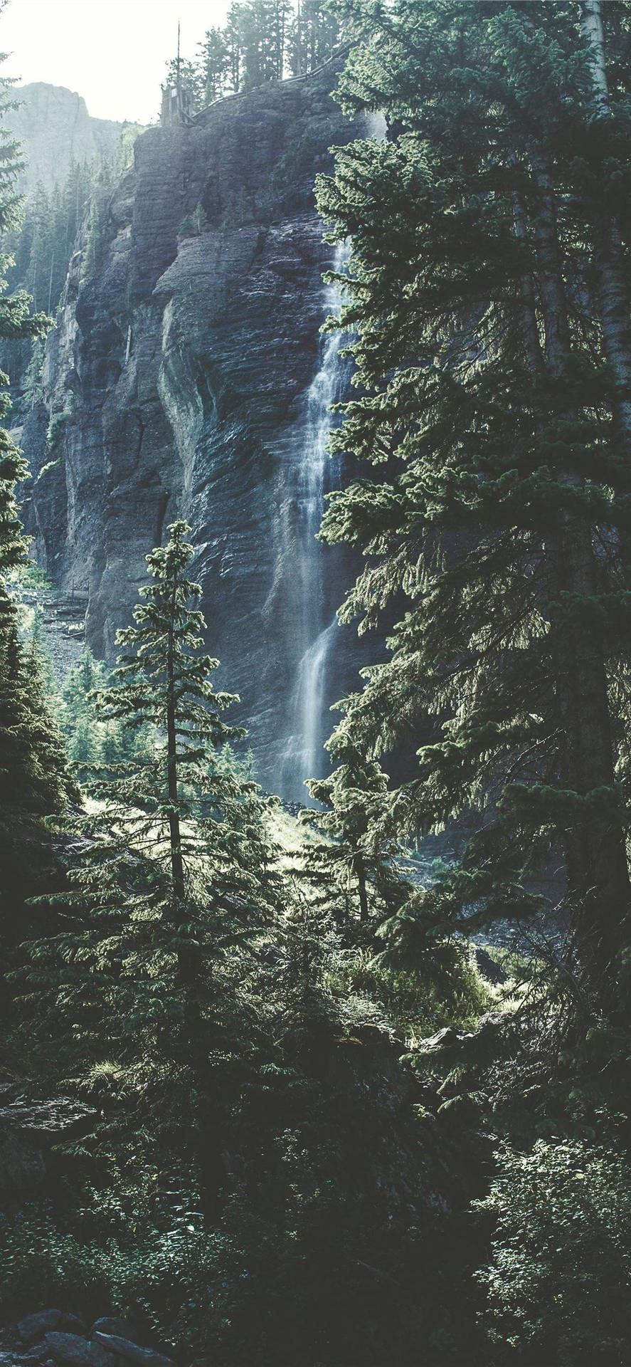 Wallpaperförtrollande Bergsskog Iphone-bakgrundsbild Wallpaper