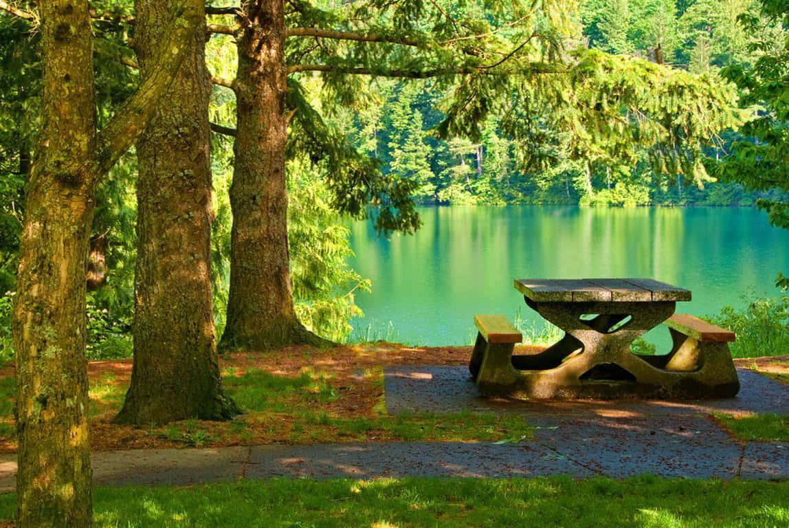 Enchanting Outdoor Picnic In The Park