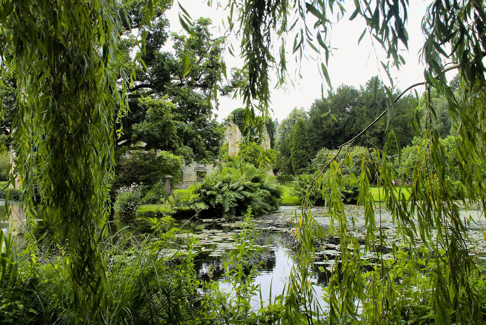 Enchanting Park Pond Wallpaper