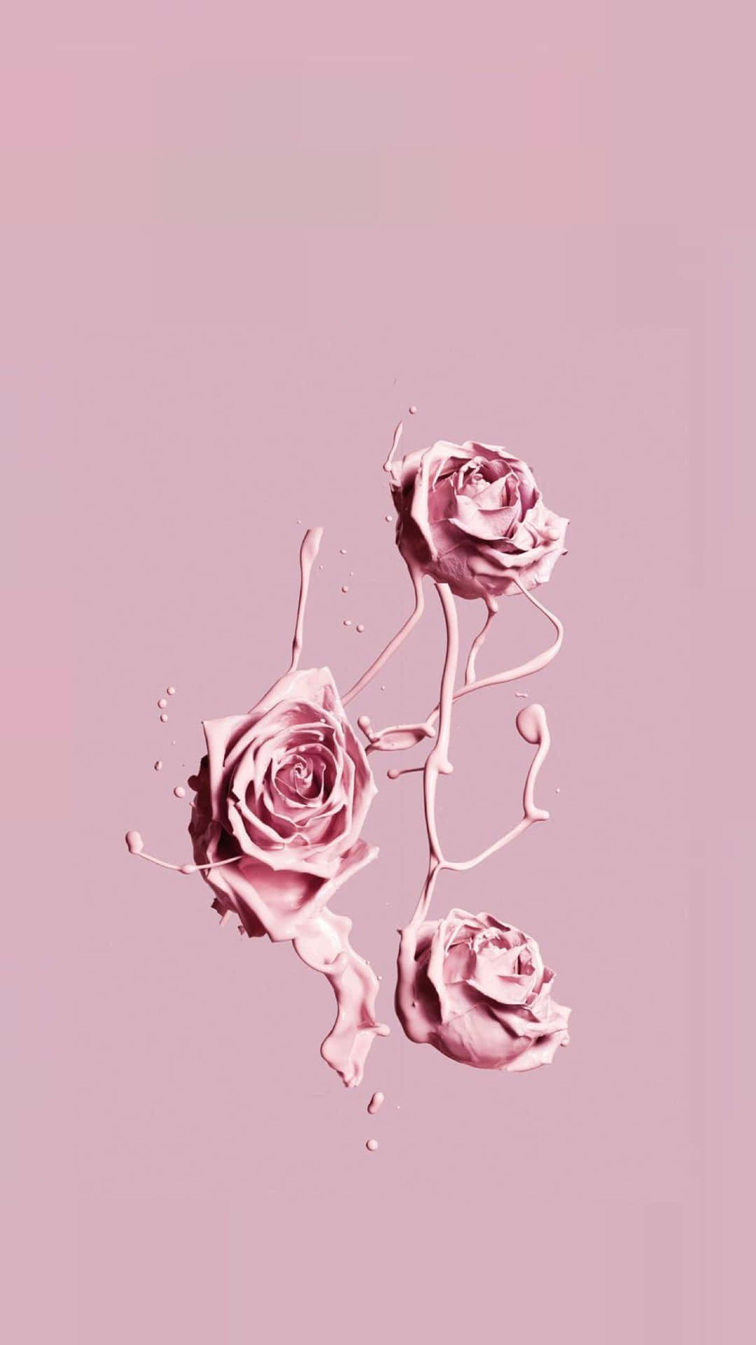 Enchanting Pink Rose Background