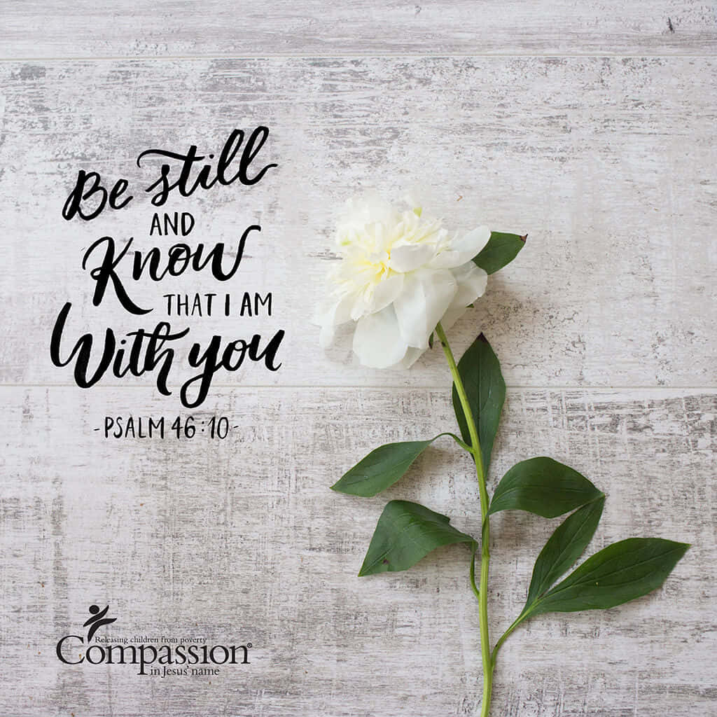 Be Still And Know That I Am With You