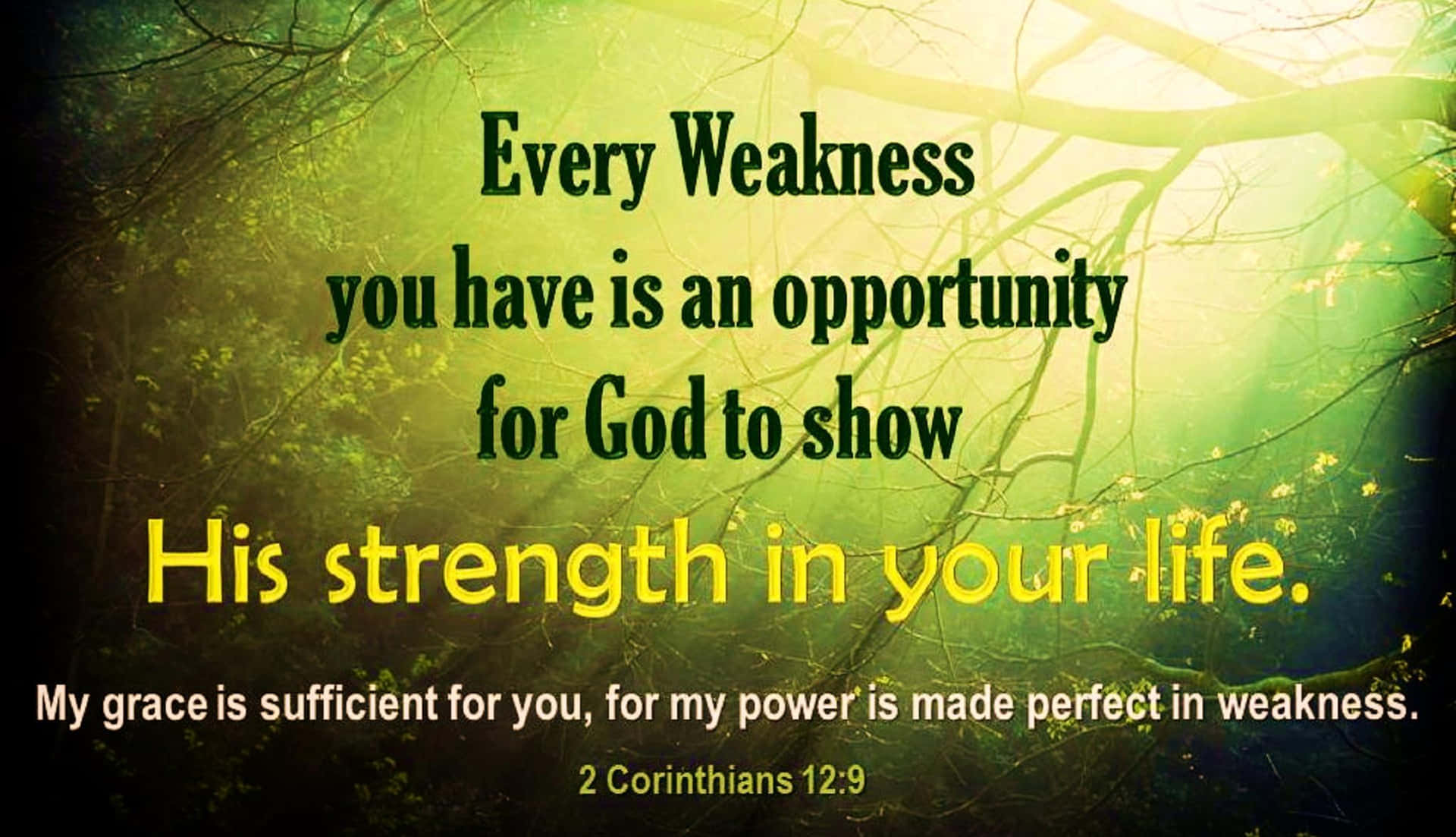 Every Weakness You Have An Opportunity For God To Show His Strength In Your Life