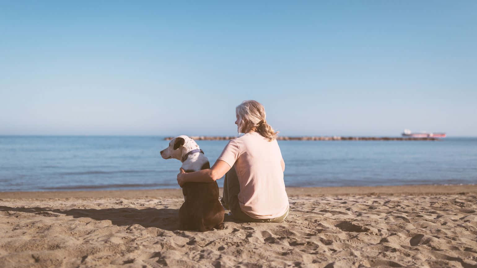 En kvinde sidder på stranden med hunden Wallpaper
