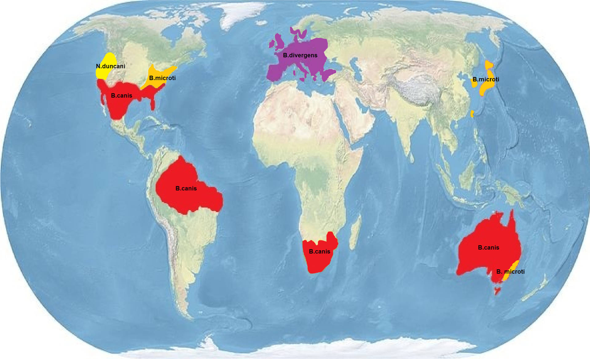 Paísesendémicos En El Mapa Mundial Fondo de pantalla
