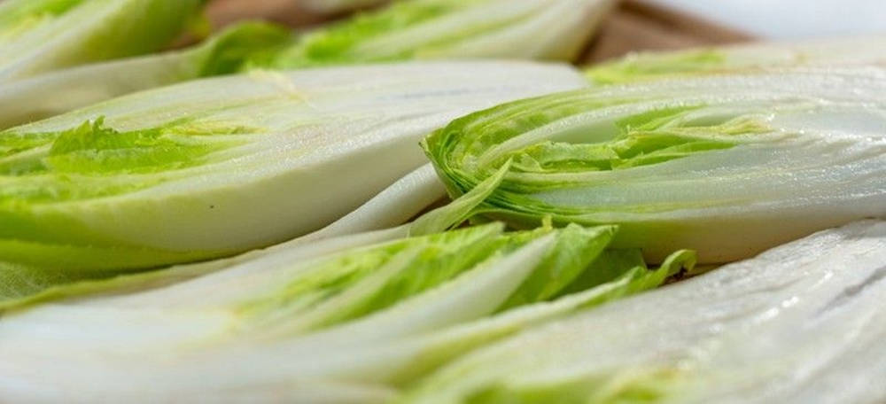 Endive Vegetables In Cross Section Cuts Wallpaper