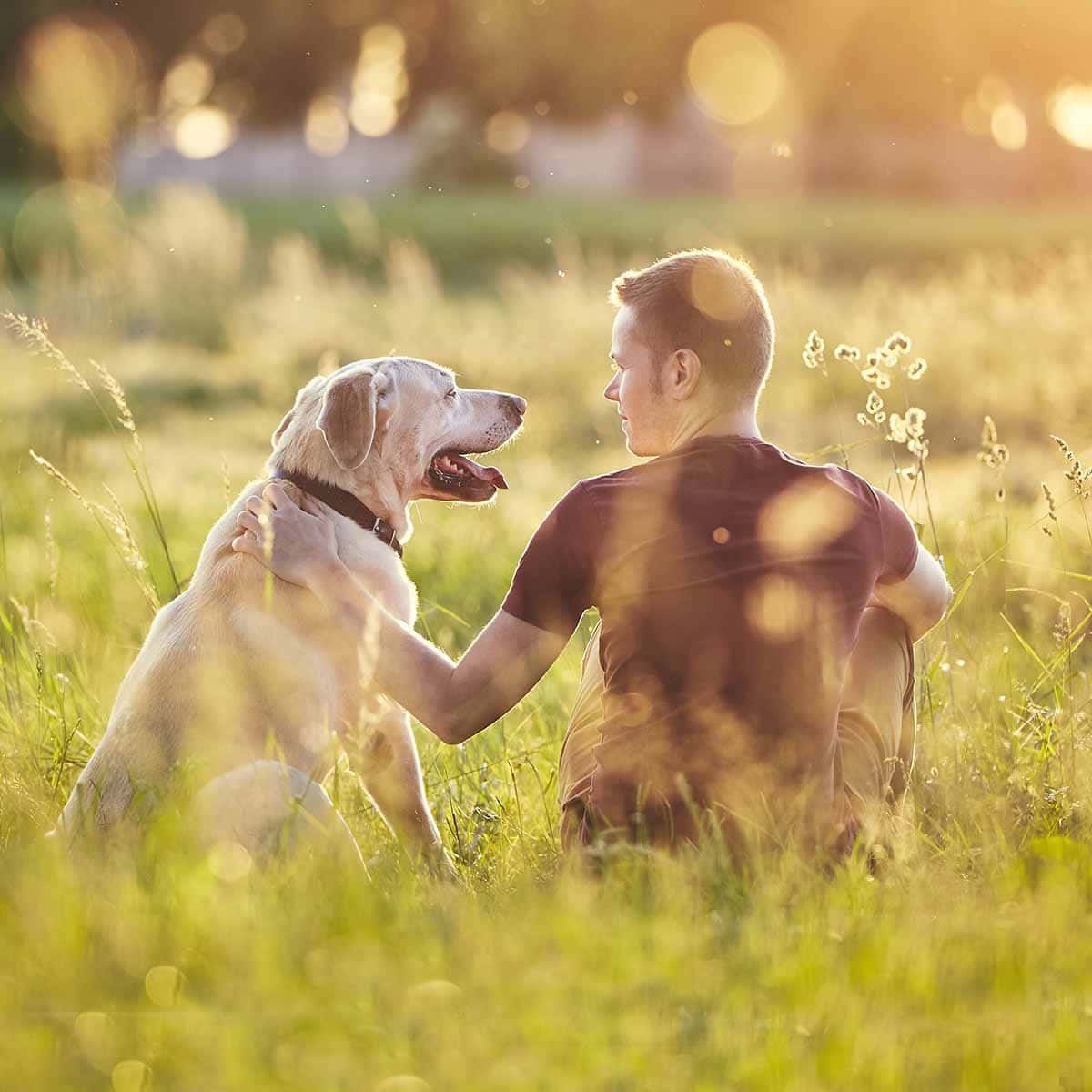 Endless Bond: Unconditional Love Between A Dog And Its Owner Wallpaper