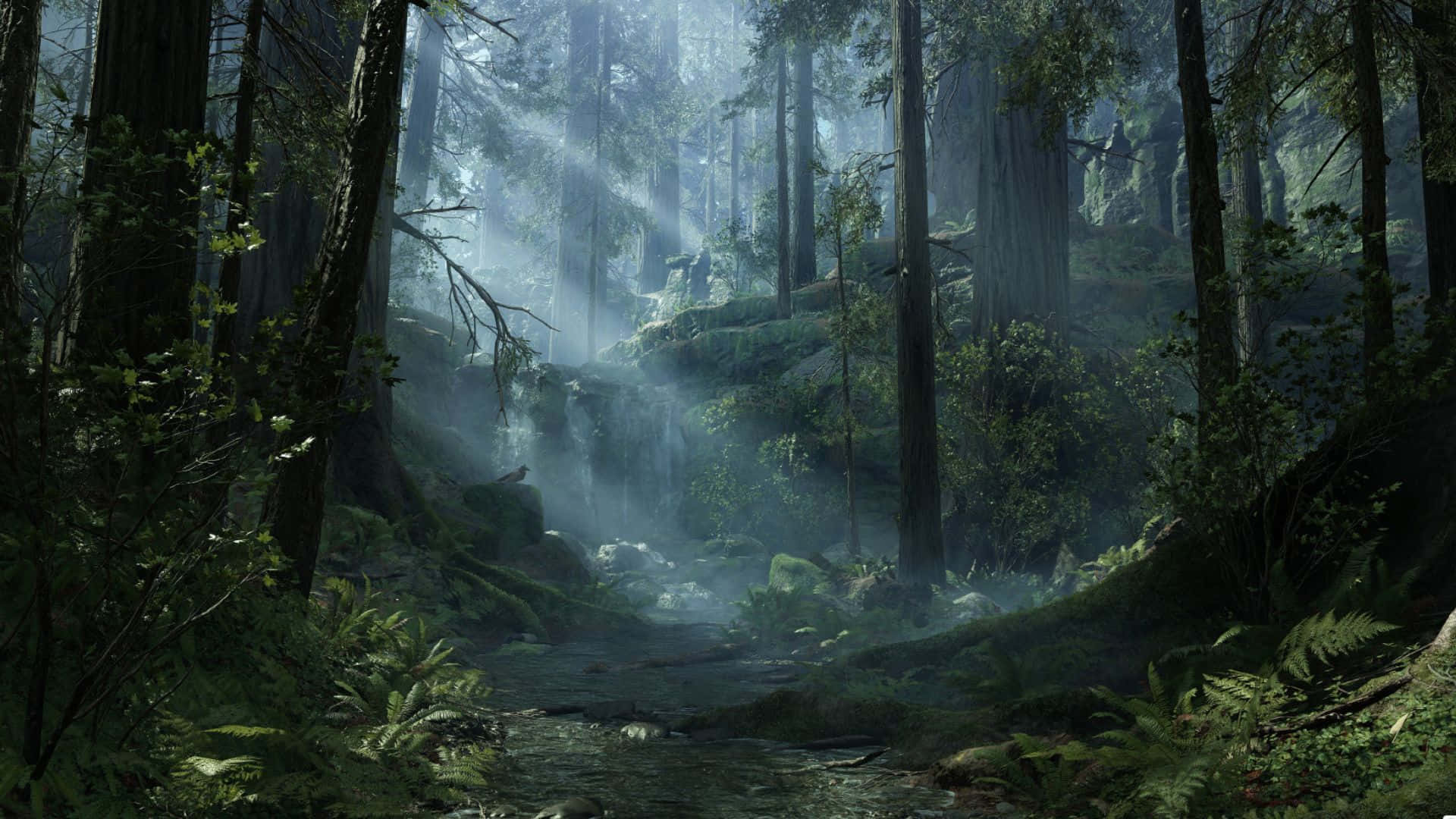 Star Wars Endor Wallpapers  Top Free Star Wars Endor Backgrounds   WallpaperAccess