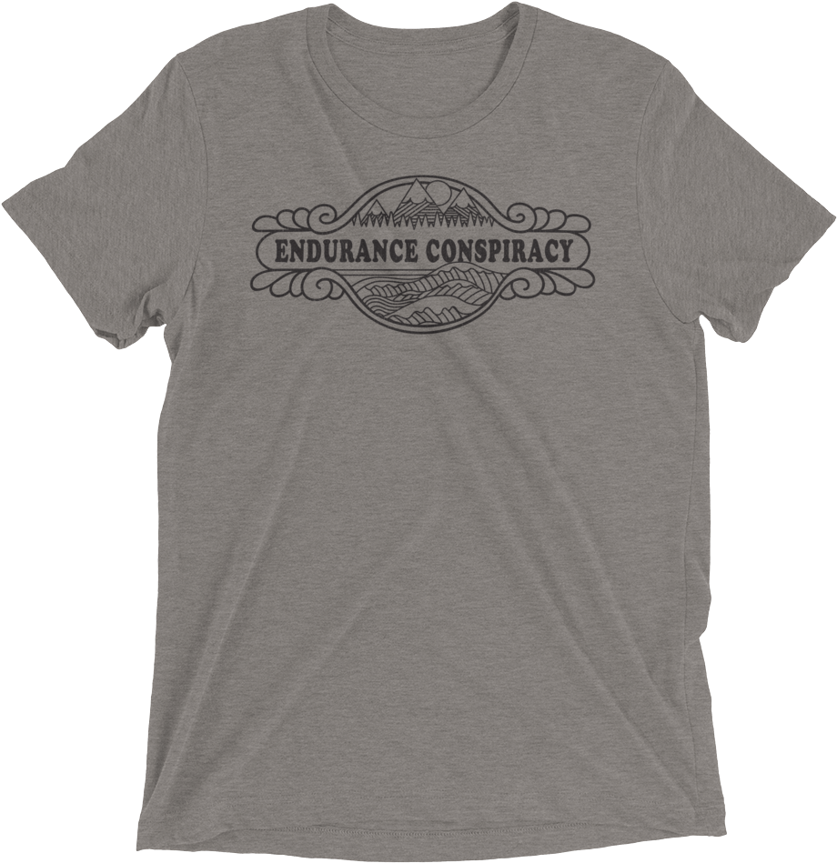 Endurance Conspiracy Gray Tshirt PNG