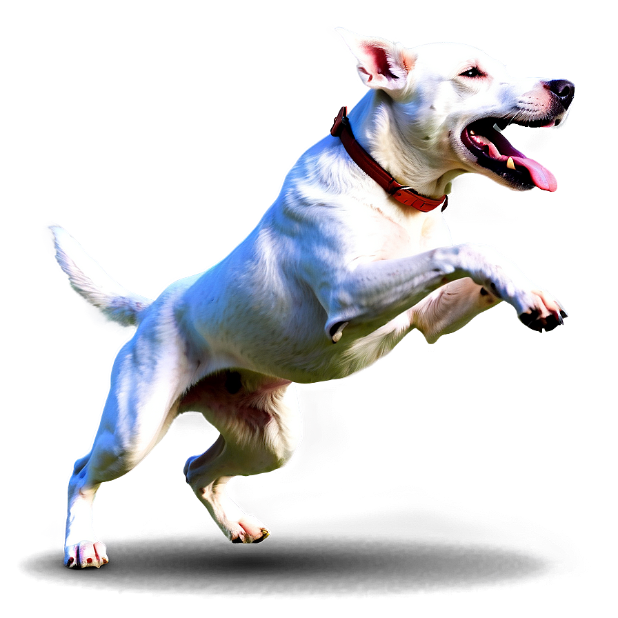 Energetic Dog Running Png Bkv77 PNG