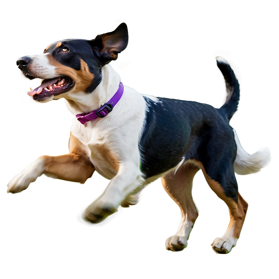 Energetic Dog Running Png Ywe PNG