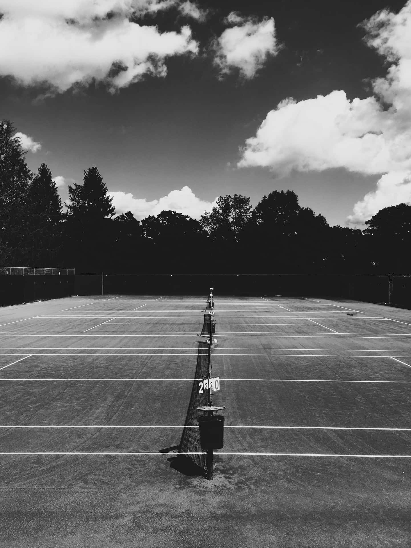Energizing Tennis Action Under Brilliant Sunlight