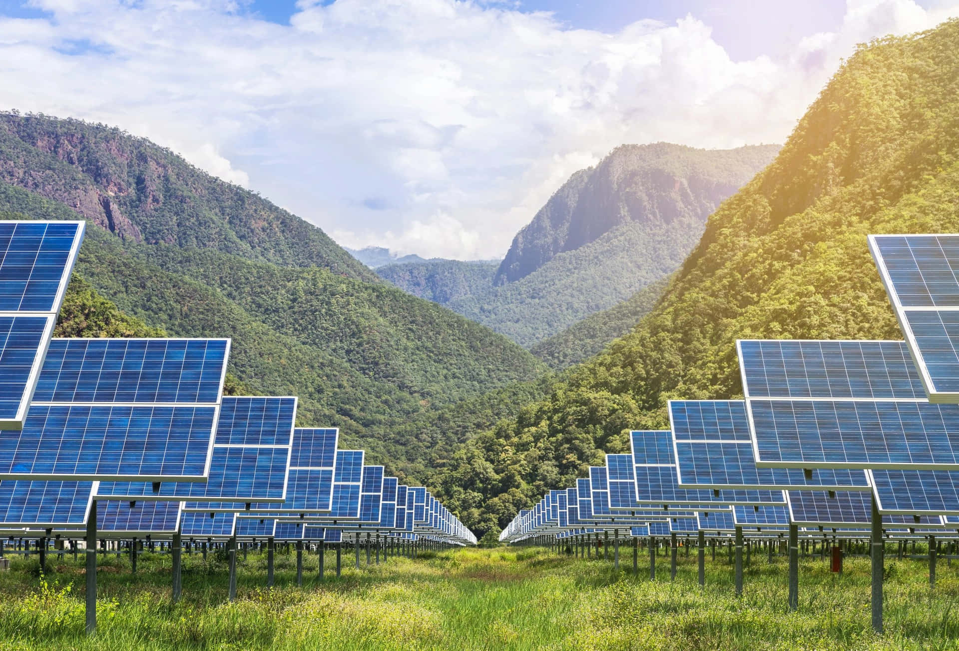 Impressive Solar Energy Panels in Nature