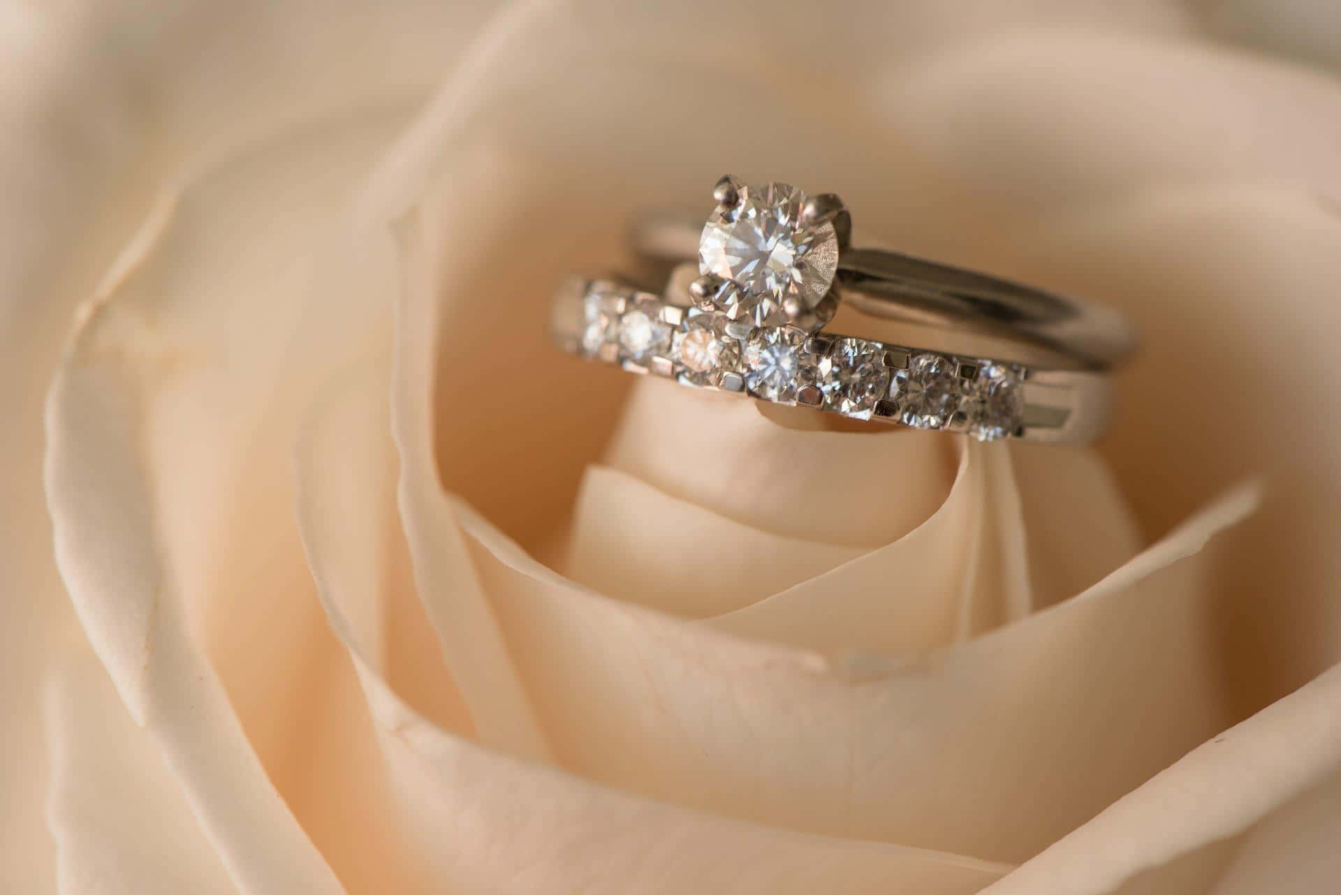 Engagement Ring On A White Rose Picture