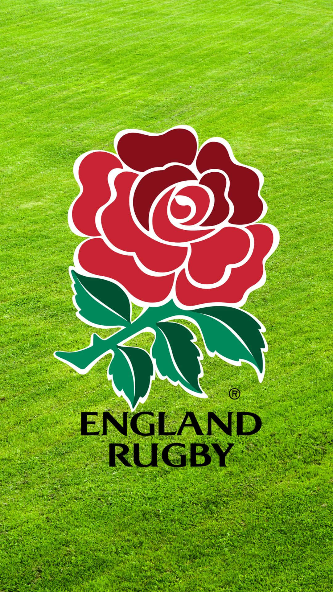 Engeland Rugby Achtergrond