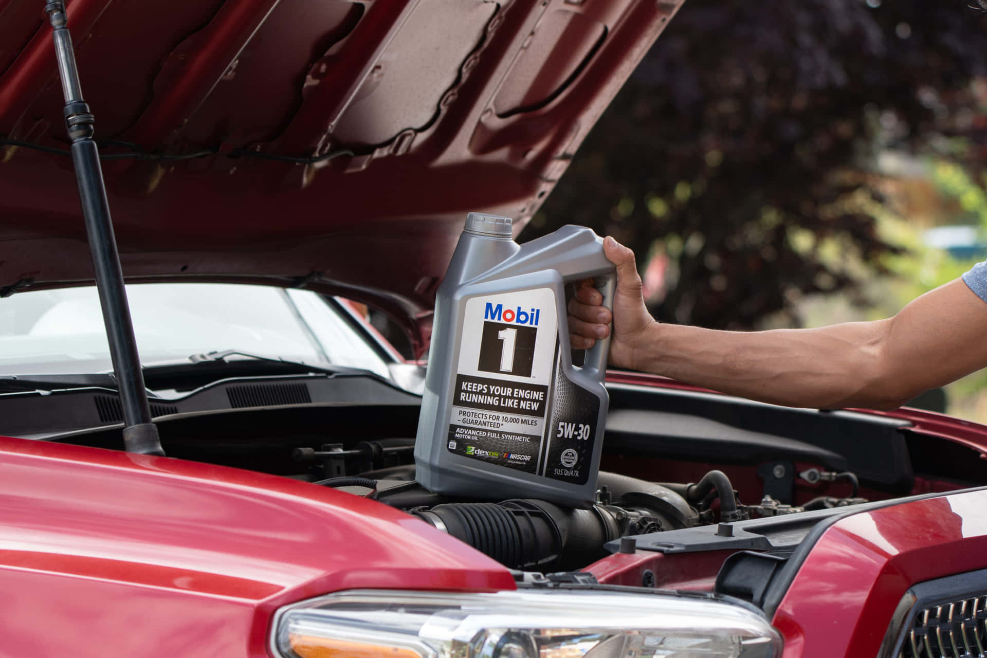 Discover the Best Engine Oil for You and Your Vehicle