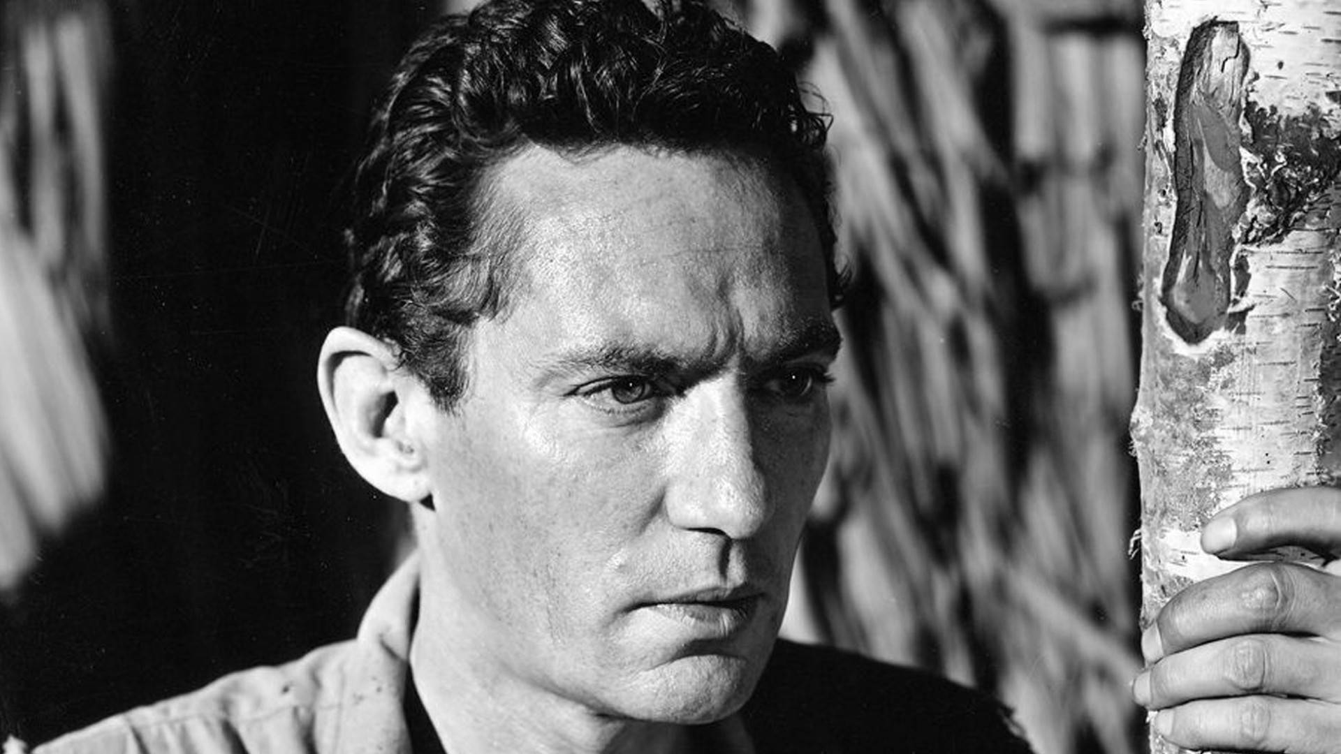 English actor Peter Finch in a classic black and white portrait Wallpaper