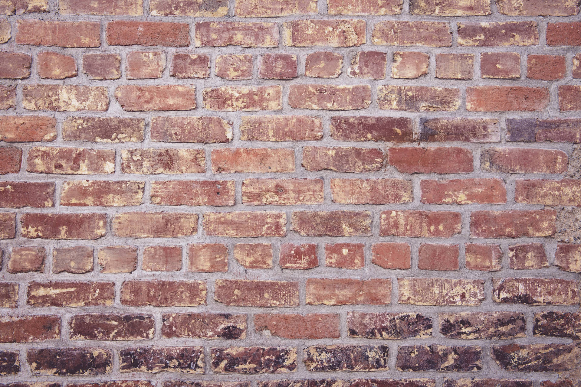 English Brick Wall Wallpaper