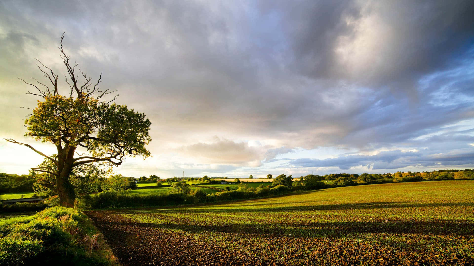 English Countryside And Cloudy Skies Picture
