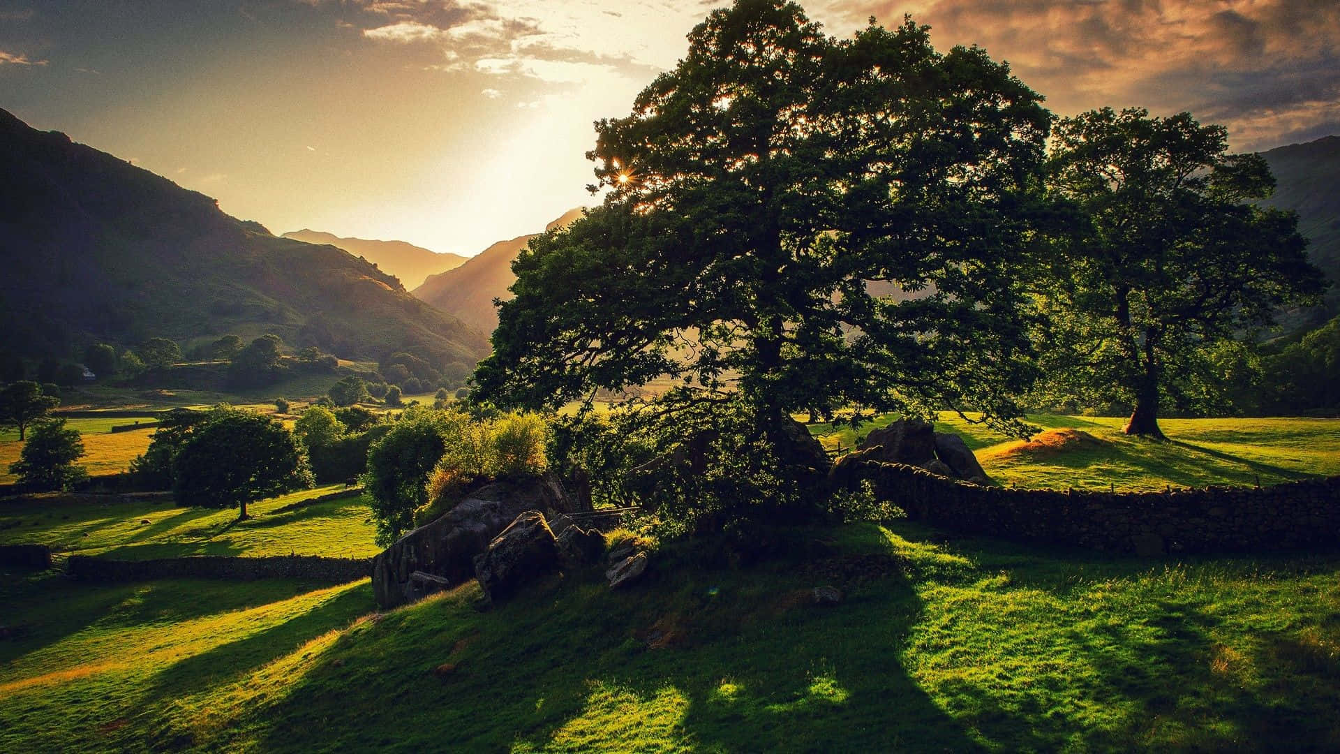 English Countryside Green Trees And Hills Wallpaper