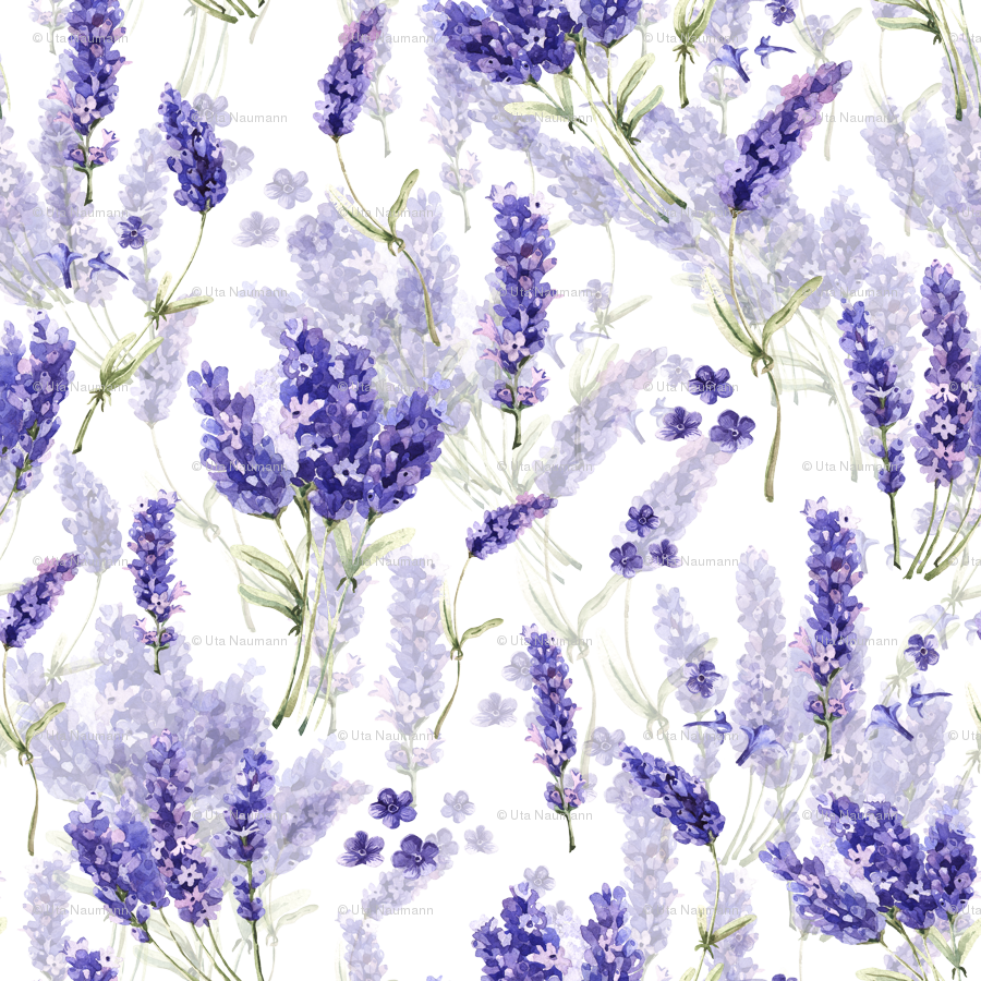 English Lavender Pattern Background PNG