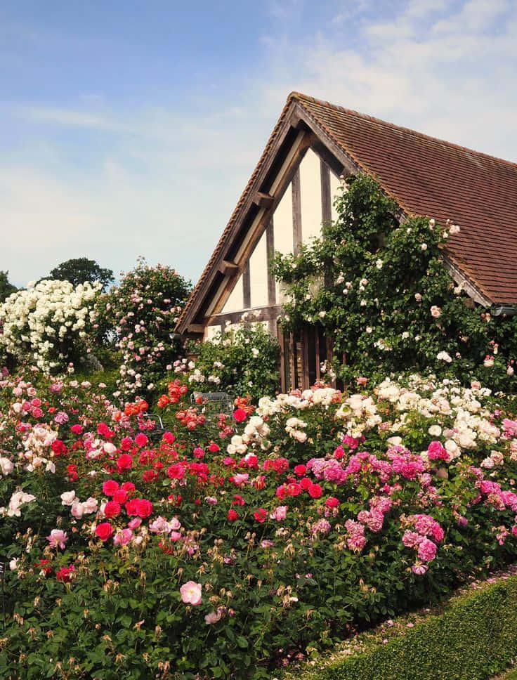 Enchanting English Rose Garden Wallpaper