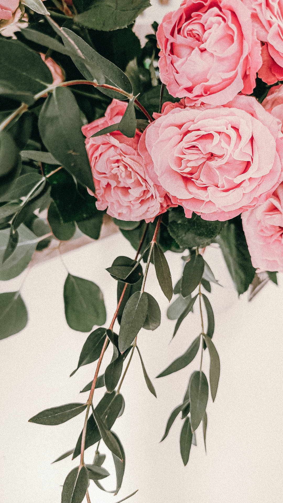 Roser til pink blomster æstetisk tapet Wallpaper