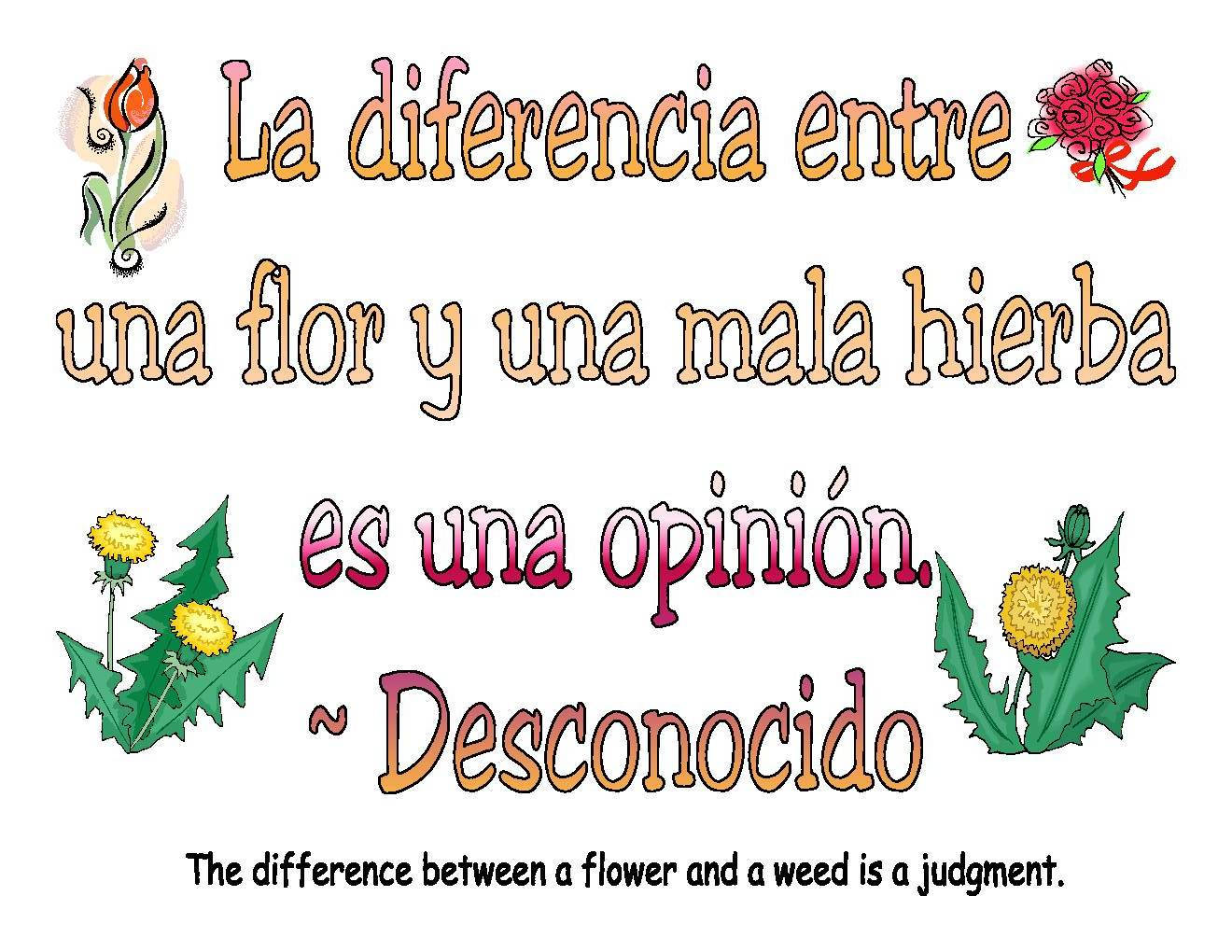 English To Spanish Flower Quote Wallpaper