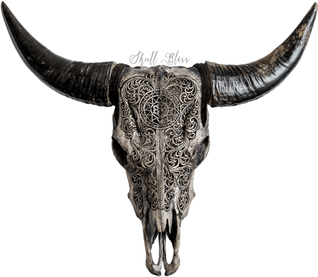 Engraved Goat Skullwith Horns PNG