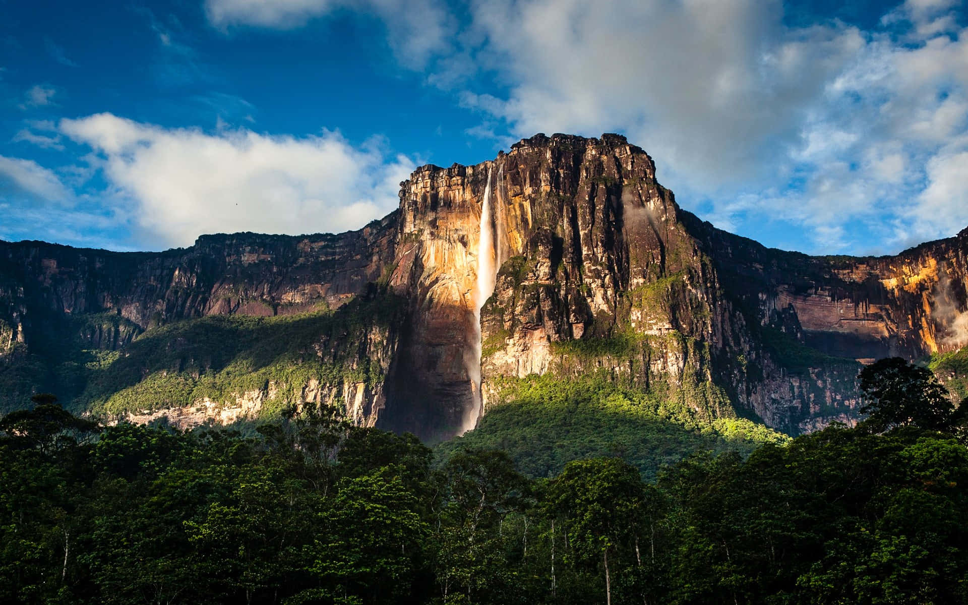 Engrossing Photography Of Angel Falls Wallpaper