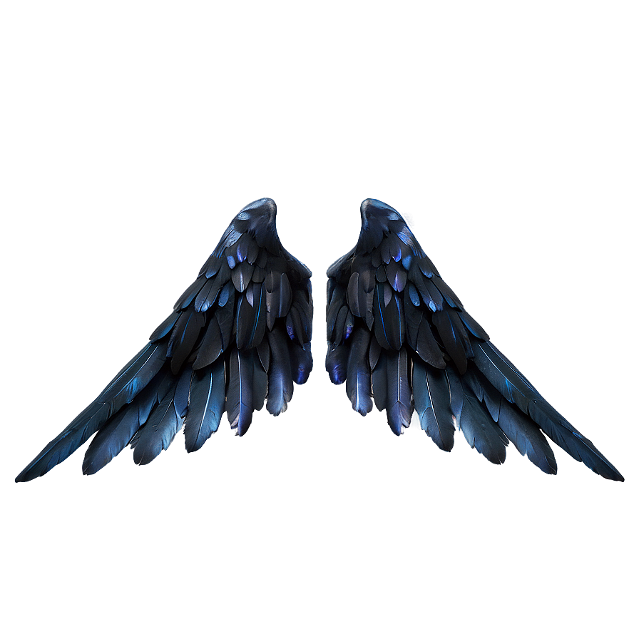 Enigmatic Black Wings Png 06232024 PNG