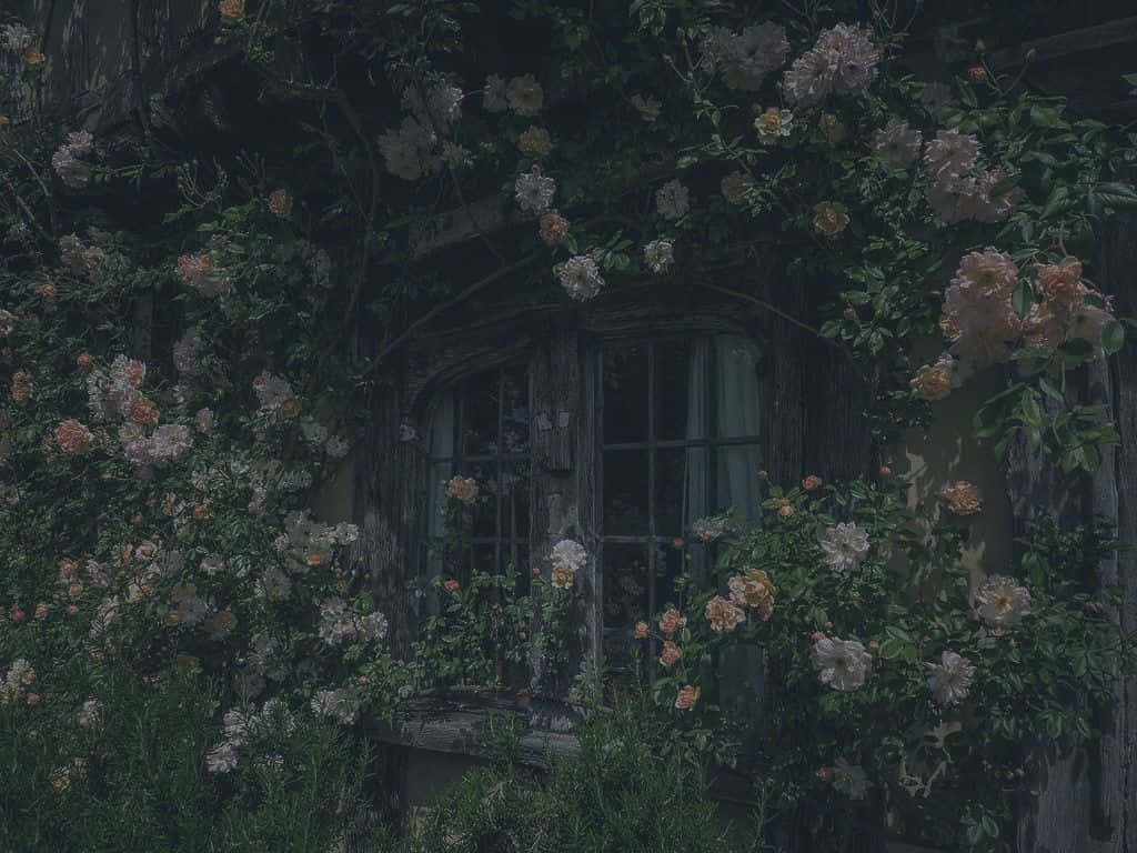 Enigmatic_ Floral_ Cottage_ Window.jpg Wallpaper