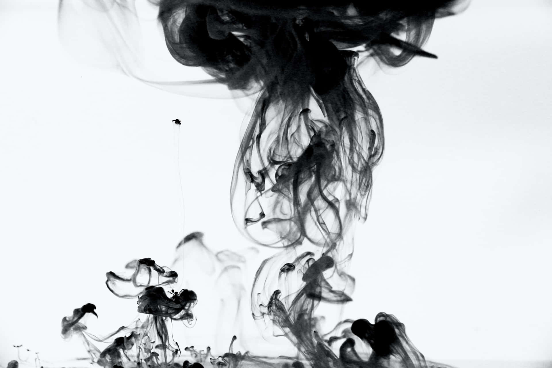 Enigmatic Smoke On A Black Background