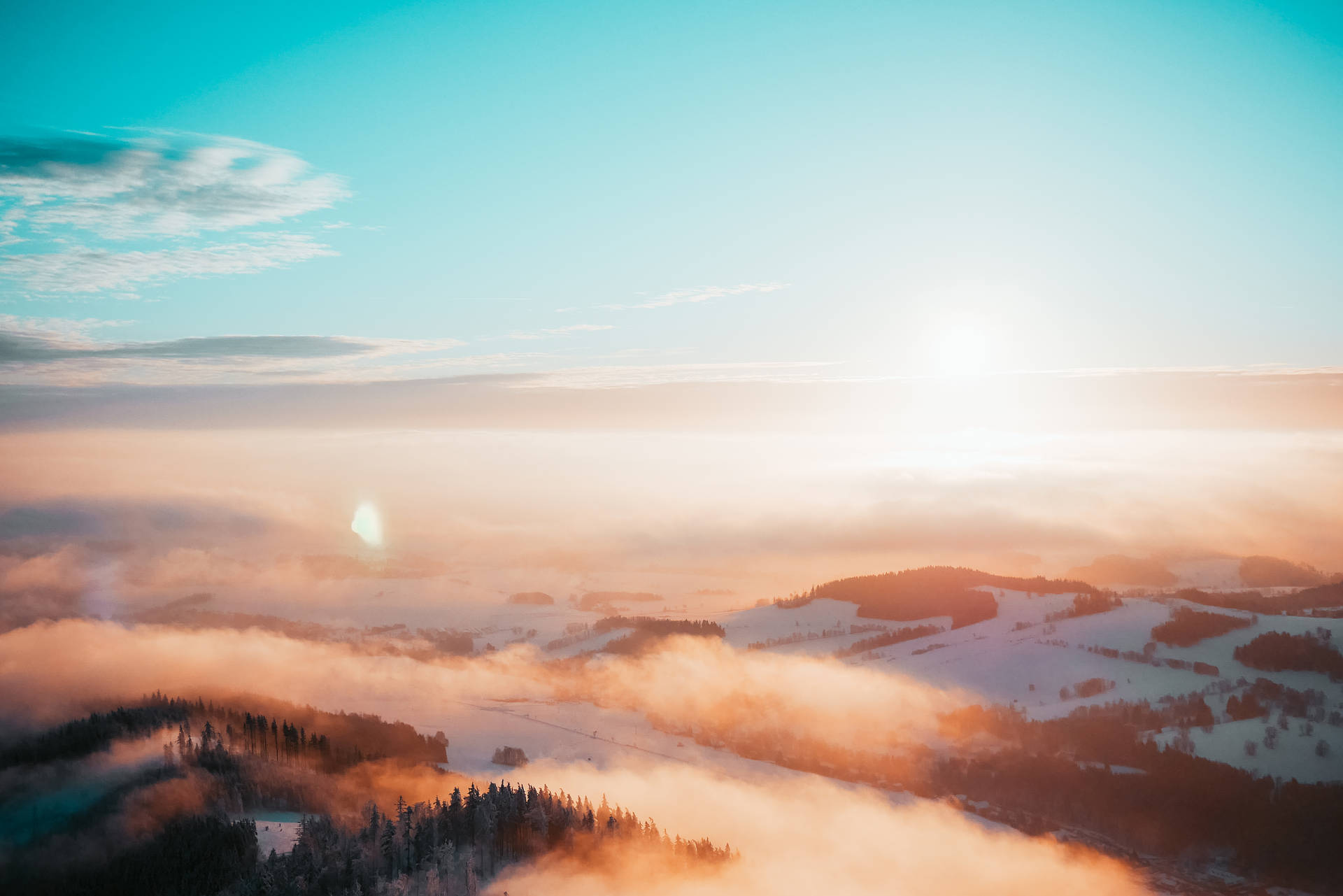 Enigmatic Tranquility Of The Foggy Forest Wallpaper