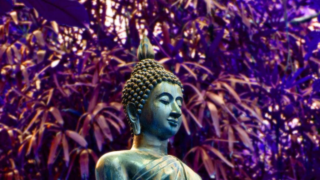 Enlightened Serenity: A Majestic Hd Image Of Buddha Wallpaper