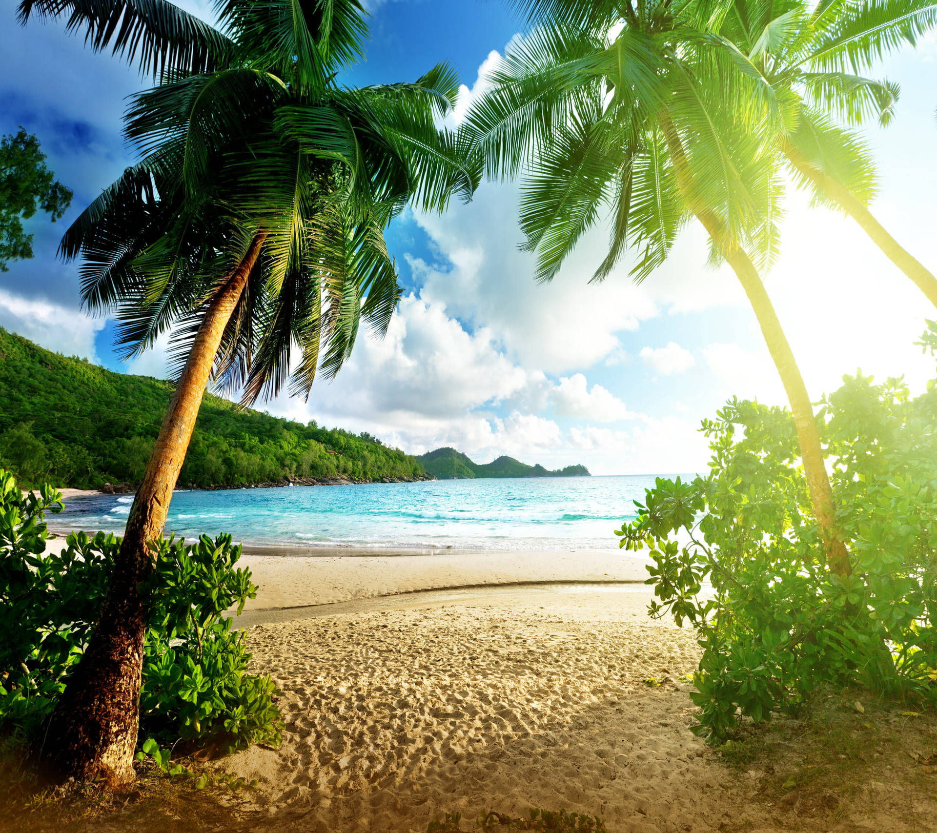 Entry To The Beach Tropical Desktop Wallpaper