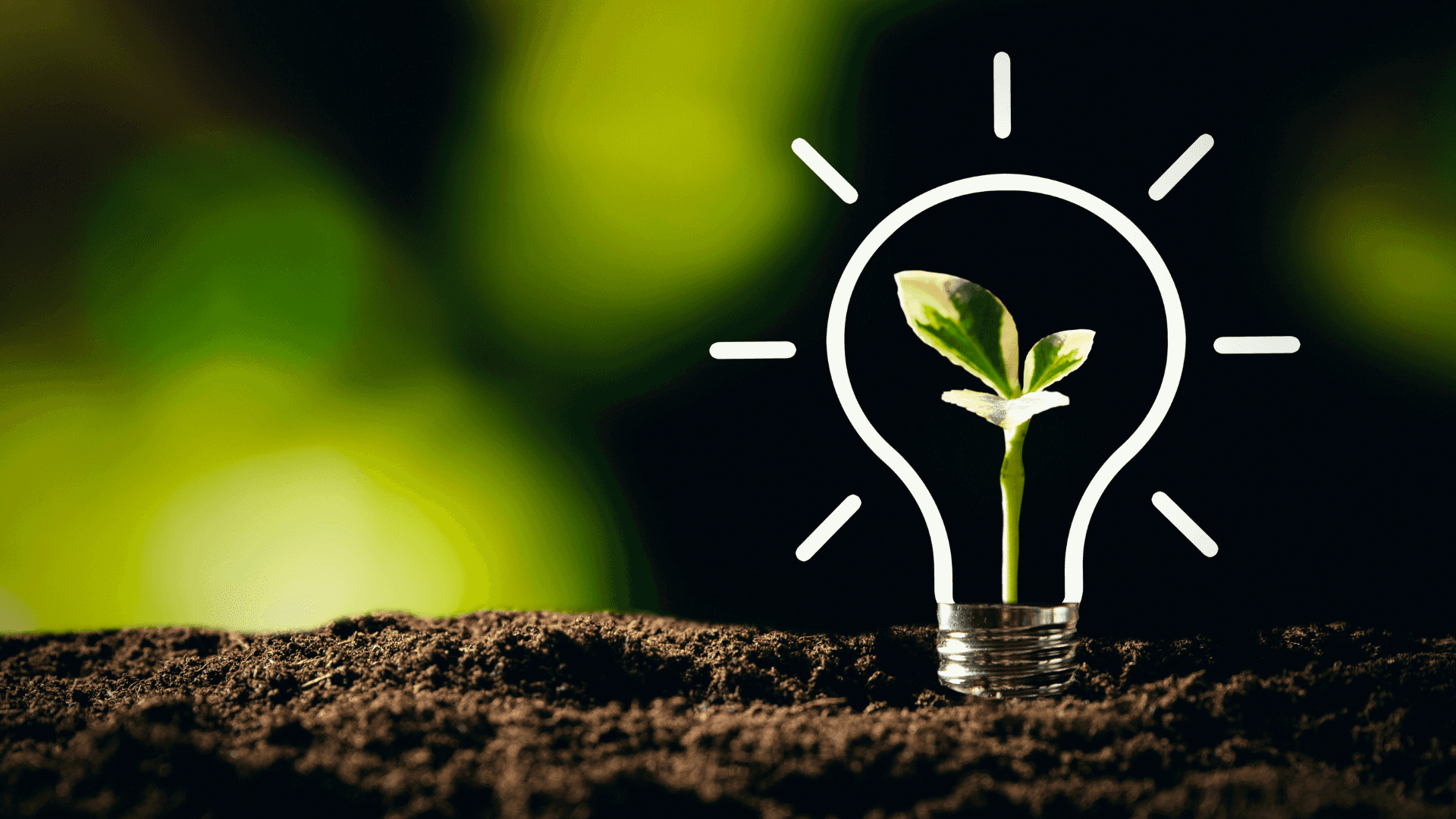 "Preserving our planet is essential for a sustainable future." Background — A sprouting plant emerges from a lightbulb base embedded in soil against a blurred green background.