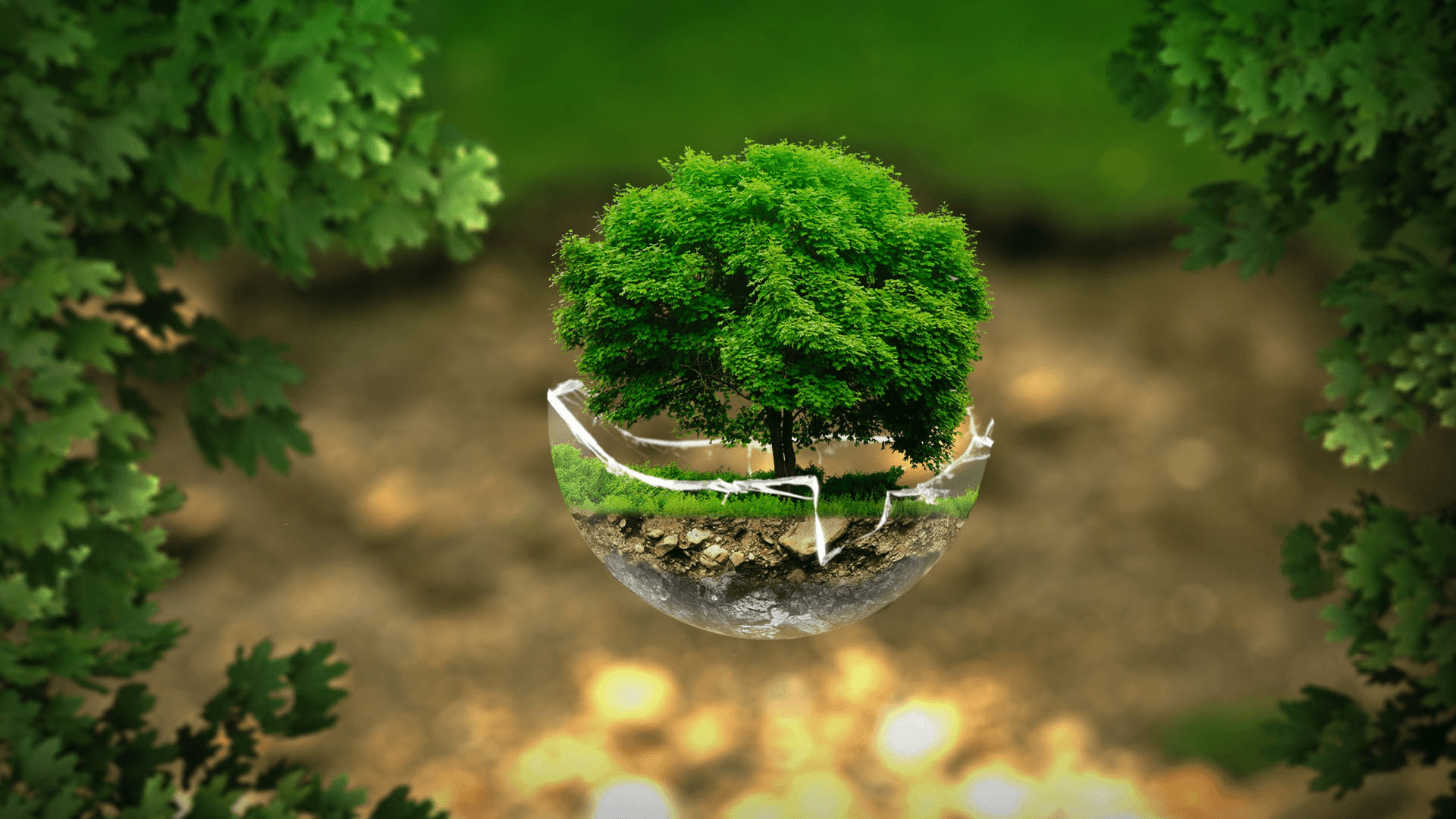 Protecting the earth's delicate environment Background — A lush green tree grows inside a transparent glass sphere suspended in a forest with soft golden bokeh lights below.