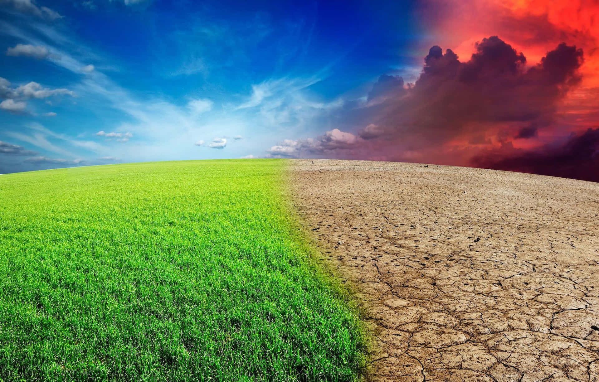 Two Different Landscapes With A Green Field And A Dry Field